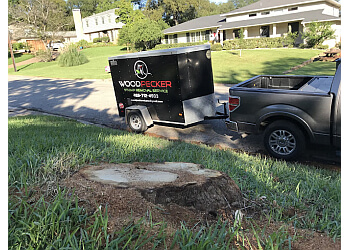 McKinney tree service Woodpecker Stump Removal Service, LLC