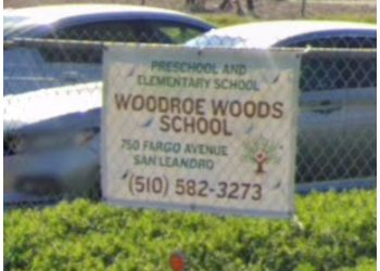 Woodroe Woods School