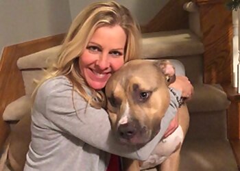 Omaha Dog Walkers Woody’s Pet Watch