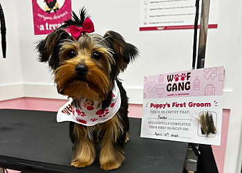 Austin Pet Grooming Woof Gang Bakery & Grooming