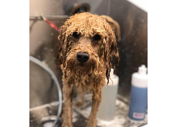 Cary Pet Grooming Woof Gang Bakery & Grooming