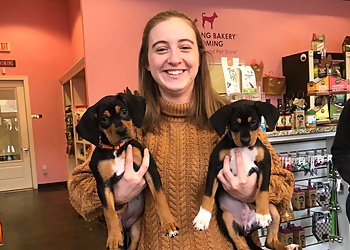 Cary Pet Grooming Woof Gang Bakery & Grooming