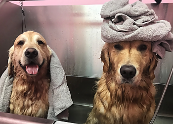 Charleston Pet Grooming Woof Gang Bakery & Grooming