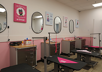 Woof Gang Bakery & Grooming Charleston Pet Grooming image 1