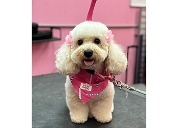 Raleigh Pet Grooming Woof Gang Bakery & Grooming