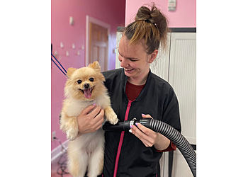 Savannah Pet Grooming Woof Gang Bakery & Grooming