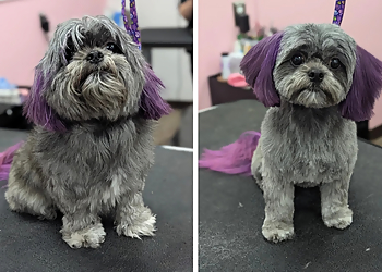 Concord Pet Grooming Woof Gang Bakery & Grooming Concord NC