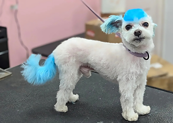 Concord Pet Grooming Woof Gang Bakery & Grooming Concord NC