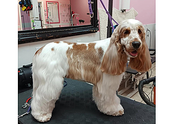 Orlando Pet Grooming Woof Gang Bakery & Grooming Conway