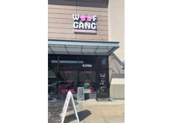 Fremont Pet Grooming Woof Gang Bakery & Grooming Fremont