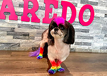 Laredo Pet Grooming Woof Gang Bakery & Grooming Laredo