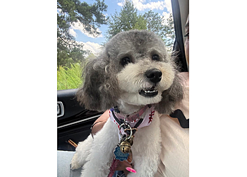 Woof Gang Bakery & Grooming Midland Commons - Columbus, GA Pet Grooming - Service Image