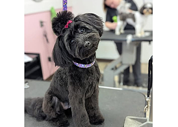 Overland Park Pet Grooming Woof Gang Bakery & Grooming Overland Park