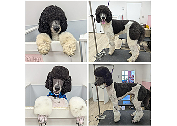 Overland Park Pet Grooming Woof Gang Bakery & Grooming Overland Park