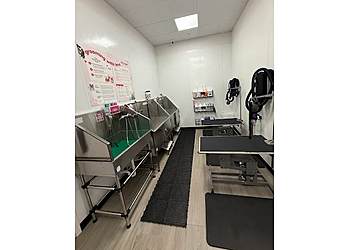 Woof Gang Bakery & Grooming South Meadows - Reno, NV Pet Grooming - Indoor Service Image