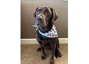 Woof Gang Bakery & Grooming South Meadows - Reno, NV Pet Grooming - Relaxation Moments