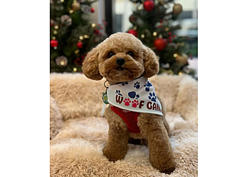 Plano Pet Grooming Woof Gang Bakery & Grooming Stonebriar