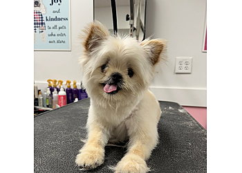 Waco Pet Grooming Woof Gang Bakery & Grooming Waco