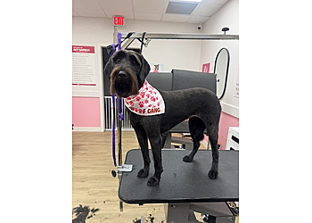 Woof Gang Bakery & Grooming Walnut Creek - Walnut Creek, CA Pet Grooming - Service Highlights