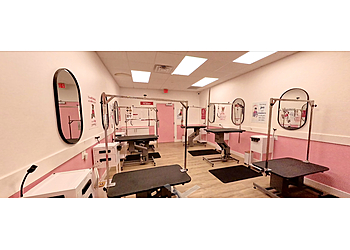Woof Gang Bakery & Grooming Walnut Creek - Walnut Creek, CA Pet Grooming - Job Site Image