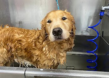 Houston Pet Grooming Woof Gang Bakery & Grooming West U