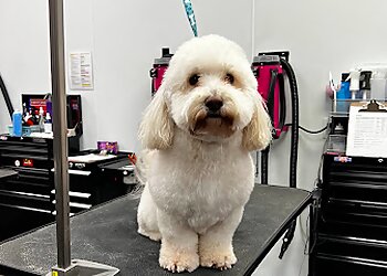 Woof Gang Bakery & Grooming West U Houston Pet Grooming image 1