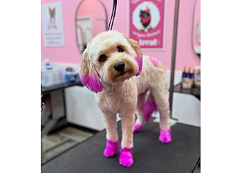 Winston Salem Pet Grooming Woof Gang Bakery & Grooming Winston