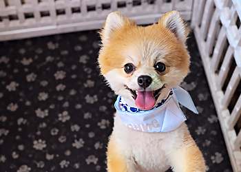 Woof Gang Bakery & Grooming Winston Salem - Winston Salem, NC Pet Grooming - Service Image
