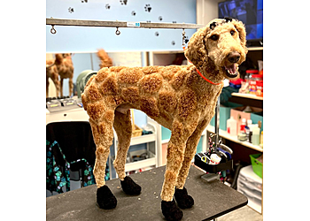 Grand Rapids Pet Grooming Woof & Wander Dog Grooming