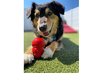Woof's Play & Stay - Topeka, KS Pet Grooming - On-Site Service Image
