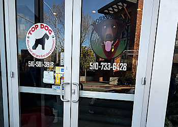 Workindoggz Hayward Pet Grooming image 1