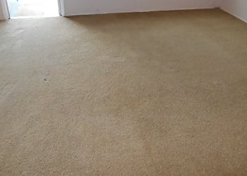 World Class Services Inc. World Class Services Inc. - Tampa, FL Carpet Cleaners - Service Highlights
