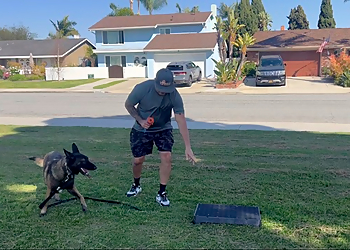 World Of Dog Training - Huntington Beach, CA Dog Training - Service Highlights