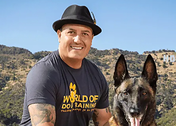 World Of Dog Training World Of Dog Training - Huntington Beach, CA Dog Training - Professional Highlights
