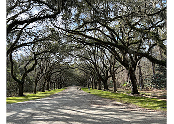 Savannah Hiking Trails Wormsloe Historic Site