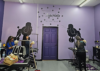 Long Beach Pet Grooming Wrigley's Pet Spaw