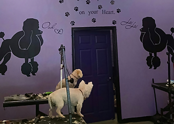 Long Beach Pet Grooming Wrigley's Pet Spaw