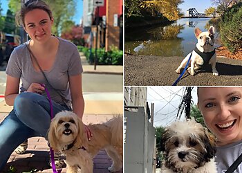 Jersey City Dog Walkers WufSter