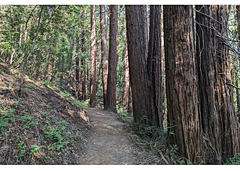San Mateo Hiking Trails Wunderlich County Park