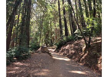 Wunderlich County Park San Mateo Hiking Trails