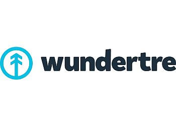 Wundertre LLC Lubbock Advertising Agencies