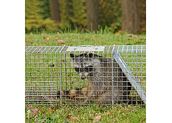 Alexandria Animal Removal Xceptional Wildlife Removal