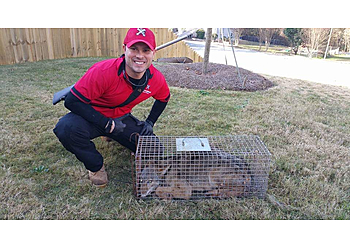 Alexandria Animal Removal Xceptional Wildlife Removal