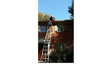 Washington Animal Removal Xceptional Wildlife Removal