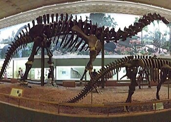 New Haven Landmarks Yale Peabody Museum