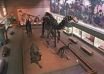 New Haven Landmarks Yale Peabody Museum