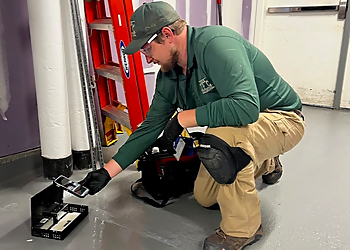 Cambridge Pest Control Companies Yankee Pest Control