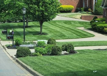 Yards with Stripes Inc.