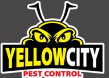 3 Best Pest Control Companies in Amarillo, TX - Expert Recommendations