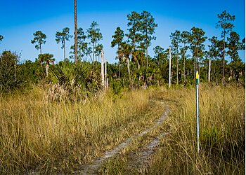 Cape Coral Hiking Trails Yellow Fever Creek Preserve